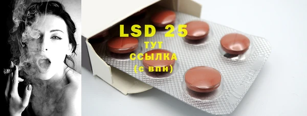 PSILOCYBIN Алексеевка