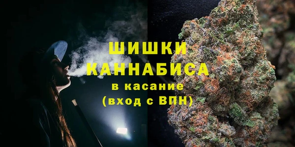 PSILOCYBIN Алексеевка